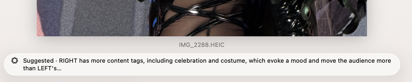 A Suggest label beneath two photos, naming the photo Apple Intelligence would pick and its one-line reason.