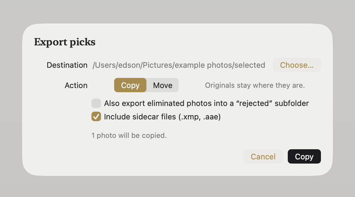 The Export sheet: a destination folder, Copy or Move, and toggles for eliminated photos and sidecar files.